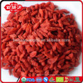 Las bayas de Goji plantas en venta bayas de goji qué son las bayas de Goji bueno para